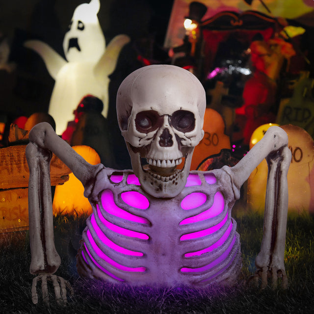 10" Colorful Groundbreaker Skeleton