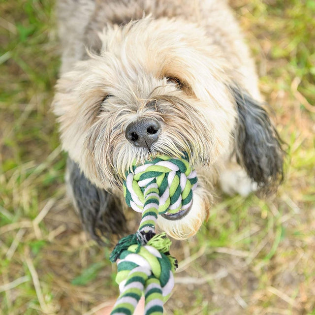 7 Pcs Cute Chew Toy Set for Pets | PopFun