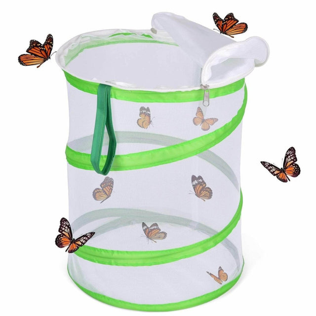 Butterfly Habitat-Wholesale | PopFun