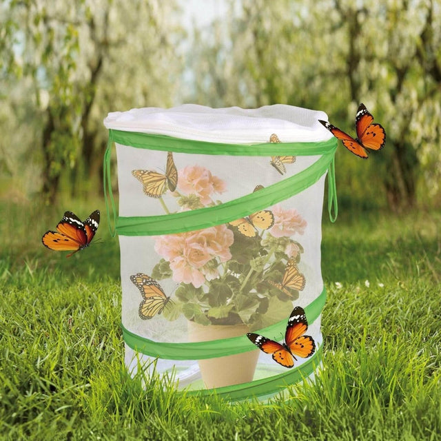 Butterfly Habitat-Wholesale | PopFun